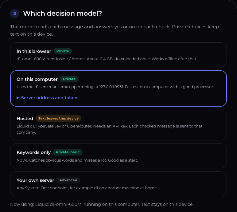 The decision-guard settings step Which decision model?, with choices In this browser, On this computer (selected), Hosted, Keywords only and Your own server, each labeled with whether text leaves the device.