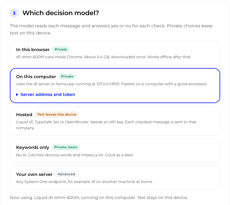 The decision-guard settings step Which decision model?, with choices In this browser, On this computer (selected), Hosted, Keywords only and Your own server, each labeled with whether text leaves the device.